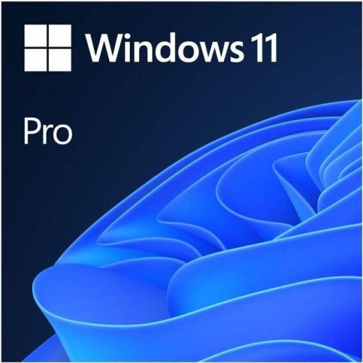Microsoft Windows 11 Pro 1 Lisenss(i)