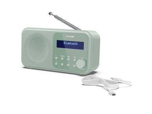 Sharp Tokyo digitaalraadi DR-P420(GN) Bluetooth juhtmeta ühendus Portitav Veesiniklill