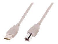 ASSMANN 1.8m beež USB kaabel