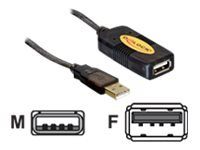 Delock USB 2.0 30m pikenduskaabel 30m