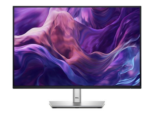 Dell P2425E 24 IPS 1920 x 1200 (WUXGA) 100Hz HDMI DisplayPort USB-C
