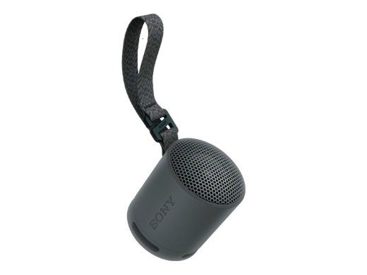 Sony SRS-XB100 kõlar must