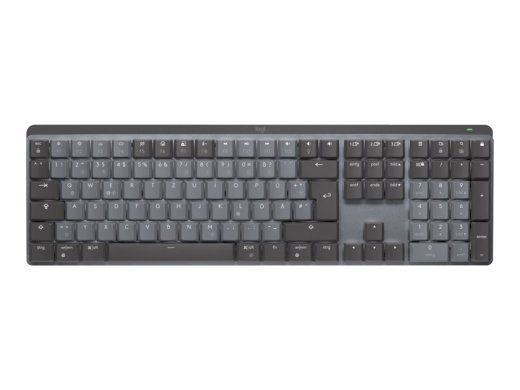 Logitech Master Series MX mechaninė klaviatūra US International belaidė