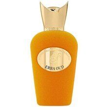 Erba Oud EDP 100ml