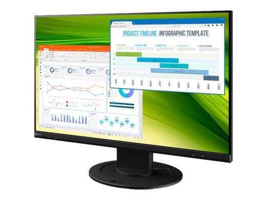 EIZO FlexScan EV2360-BK 22,5 IPS 1920 x 1200 (WUXGA) DVI VGA (HD-15) DisplayPort monitorius