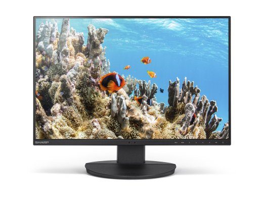 NEC DD-EA242W 24-tolline IPS 1920 x 1200 (WUXGA) monitor with HDMI, DisplayPort, USB-C