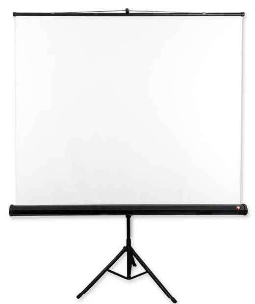Avtek Tripod Standart 175 projektsiooniekraan 1:1