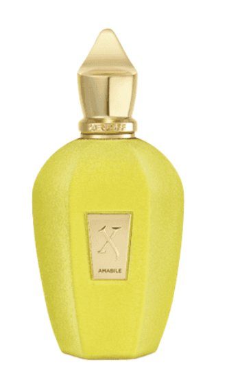 Xerjoff Amabile Parfüüm EDP 100ml Tester