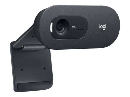 Logitech C505e veebikaamera
