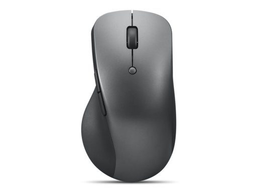 Lenovo Professional Blue Optical belaidis pelė pilkas