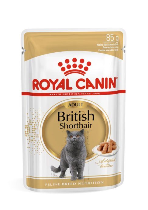 ROYAL CANIN Briti lühikarvaline pakend 12x85g
