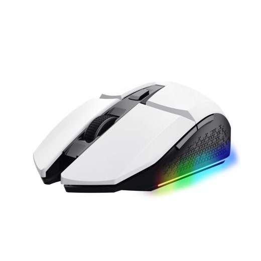 OPTINIS BEVIĖS PELĖS USB BALTA/GXT110W FELOX 25069 TRUST