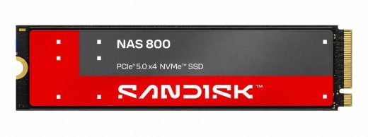 SanDisk NAS 800 960 M.2 PCIe 5.0 NVMe 3D TLC NAND