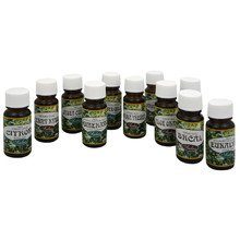 The Fragrant Aroma Lamps Oil to Peppermint