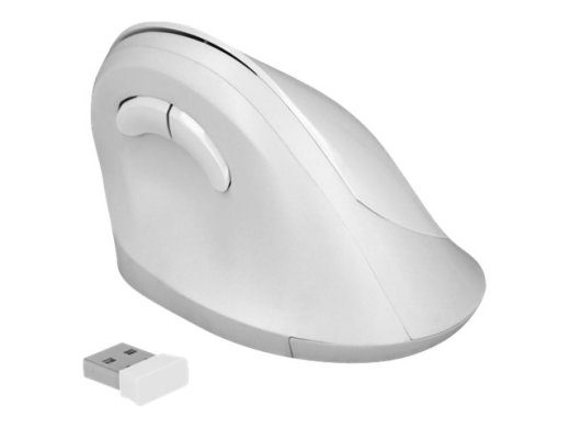 Delock ergonoomiline optiline juhtmevaba hiir valge