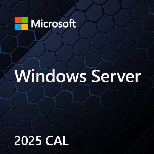 MS Windows Server CAL 2025 PL 5-kliendiseadme CAL OEM