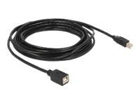 Delock 5m USB Pikenduskaabel Must