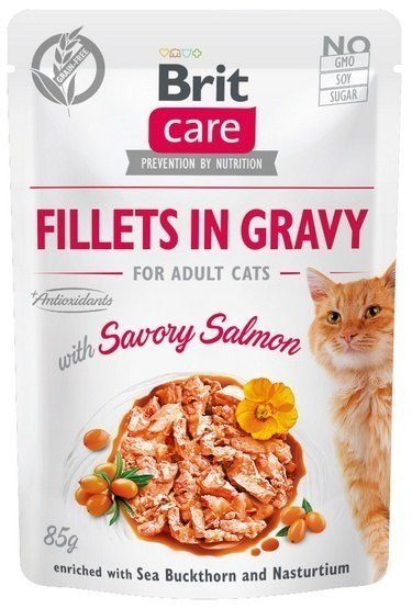 BRIT Care Filleted Graavias säilitatud lõhefileed kassatoit 85 g