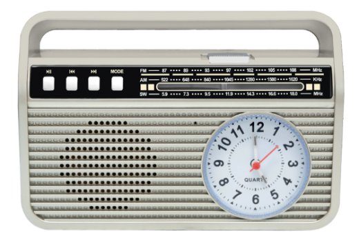 Setty MD-500BT Bluetooth garsiakalbis su radiu