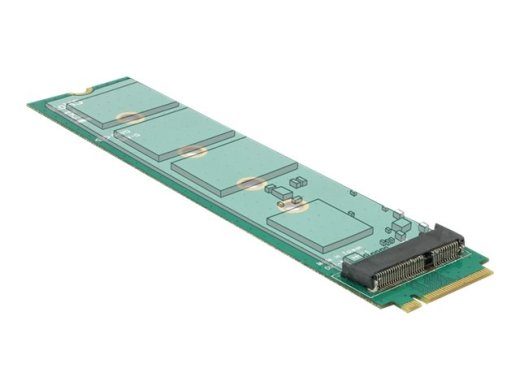 DeLOCK M.2 Key M Vyriškas į M.2 Key E Adapteris