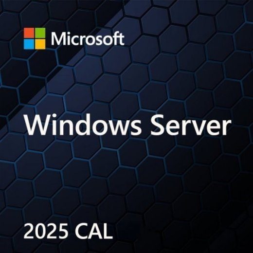 Microsoft Windows Server CAL 2025 Client Access License (1 litsents)