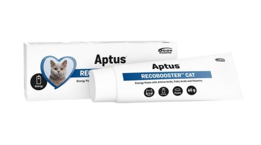 APTUS Recobooster Toitumine ja söögiisu - toidulisandid kassidele – 60g