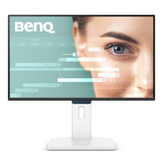 BenQ GW2490TC 24" 1920 x 1080 Full HD LED Monitor