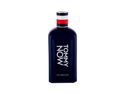 Tommy Hilfiger Tommy EDT 100ml