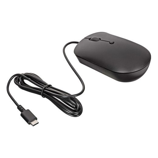 Lenovo GY51D20875 pelė Biuras Abipusė USB Type-C Optinė 2400 DPI
