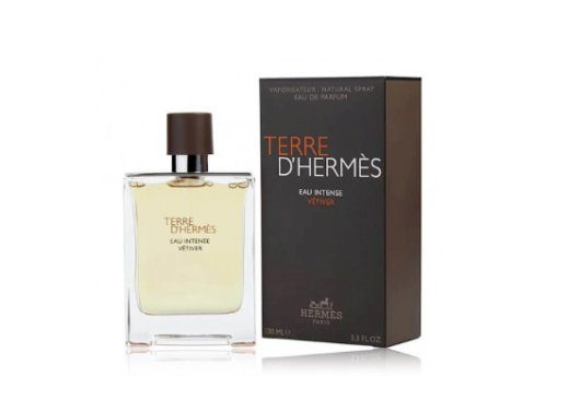 Hermes Terre D'Hermes Eau Intense Vetiver Parfüüm EDP 100 ml