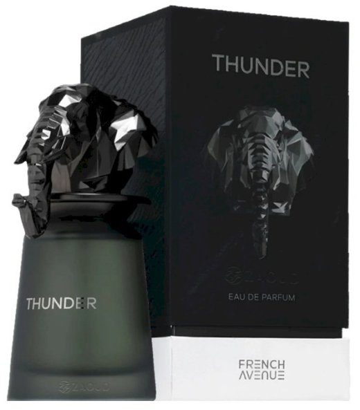 French Avenue Thunder kvepalai EDP 100 ml