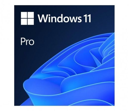 Microsoft Windows 11 Pro 1 litsents