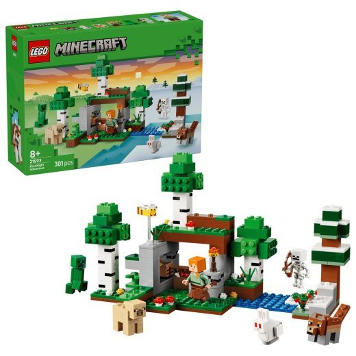LEGO Minecraft 21593 pirmosios nakties nuotykio rinkinys