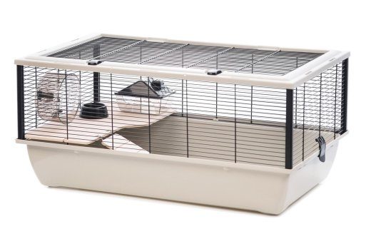 INTER-ZOO Bob + Wood beige - puur hamstrile