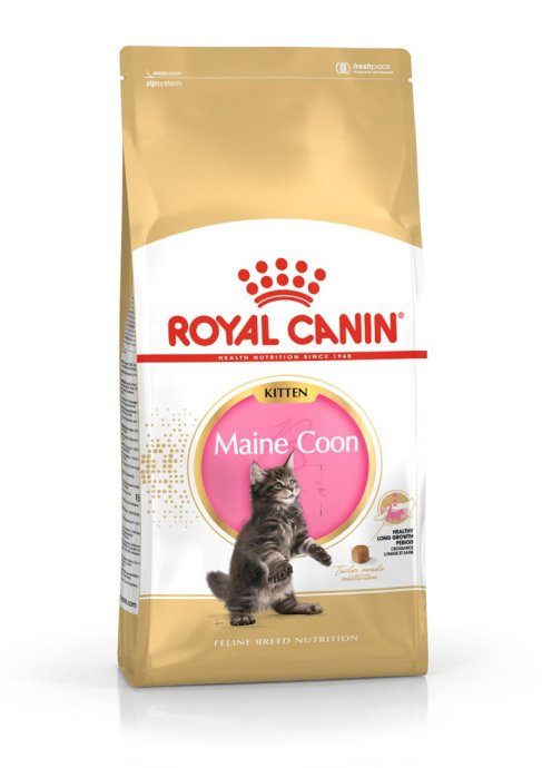 ROYAL CANIN Maine Coon Kitten- kuivkassitoit - 4 kg