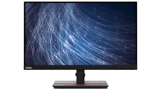 LENOVO ThinkVision T24m-29 23.8inch TS 63A5GAT6EU Eesti