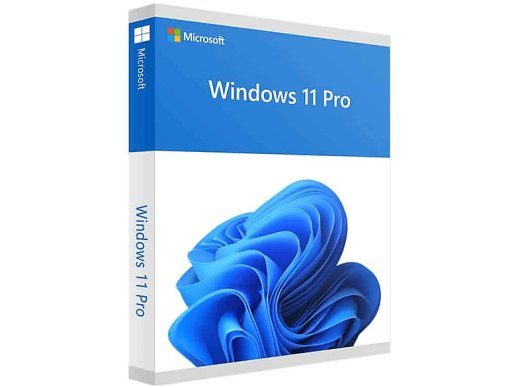 Microsoft Windows 11 Pro 1 Lisenss(i)