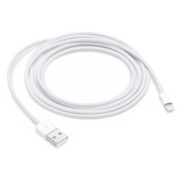 Apple charging cable MD819ZM/A - USB-A / Lightning - 2 m