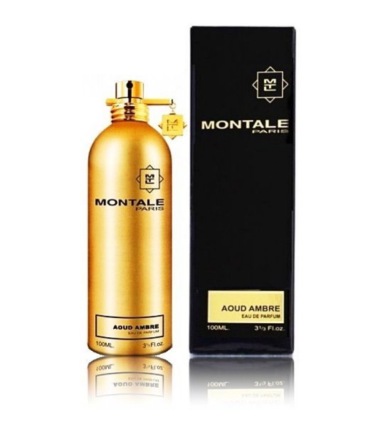 Montale Aoud Ambre Kvepalai EDP 100 ml