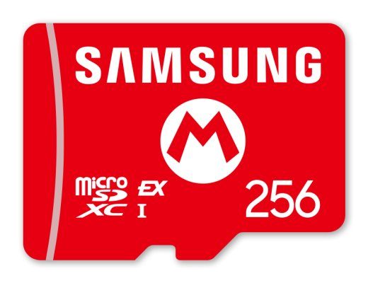 Nintendo 10016156 256GB MicroSDXC
