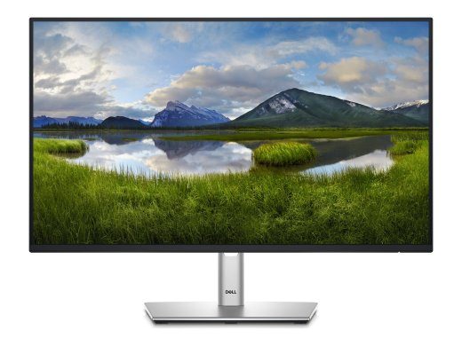 Dell P2425HE 24 colių IPS 1920 x 1080 (Full HD) HDMI DisplayPort USB-C 100Hz