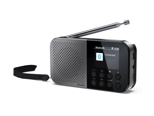 Sharp OSAKA Tasku/Käsi- ja kaasaskantav digiraadio DR-P520(GY) Bluetooth