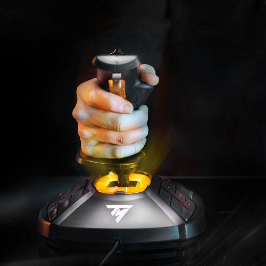 Thrustmaster Joystick T 16000M FCS Must