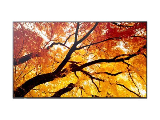 Sharp MultiSync PN-M Series PN-M502 50-tolline 4K UHD (2160p) Monitor