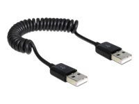 Delock 60cm USB-kaabel must