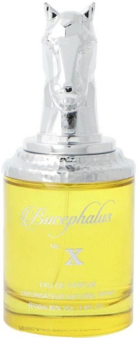 Armaf Bucephalus No. X Kvapas EDP 100ml
