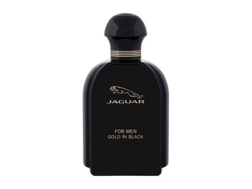 Jaguar for Men EDT 100ml