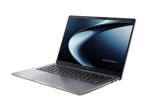 ASUS ExpertBook P3 PM3606CKA-MB0196X 16 1920 x 1200 (WUXGA) Ryzen AI 5 - 330 16GB 1TB AMD Radeon 820M Windows 11 Pro