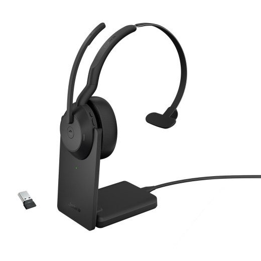Evolve2 55 - Link380A Mažos mono (Su stovu)