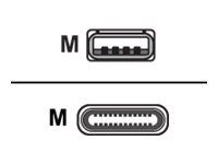 Zebra USB Type-C Kaabel Must